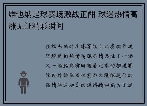维也纳足球赛场激战正酣 球迷热情高涨见证精彩瞬间