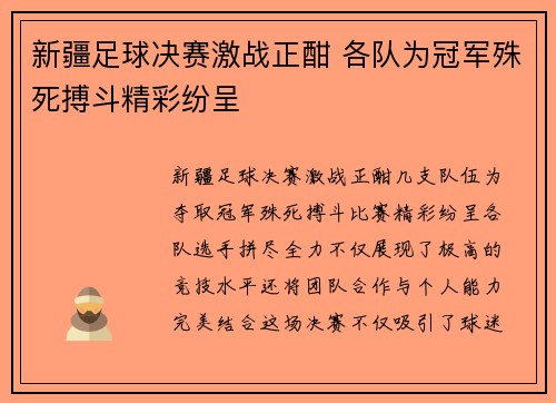 新疆足球决赛激战正酣 各队为冠军殊死搏斗精彩纷呈